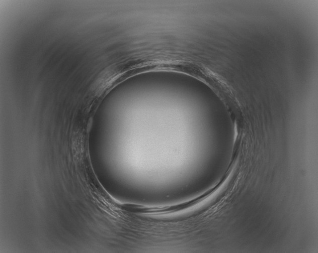 X0000057581169200509231244