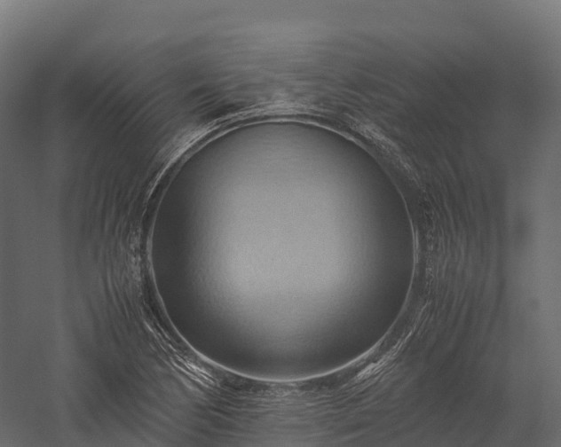 X0000057581170200509231244