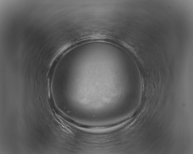 X0000057581171200509231244