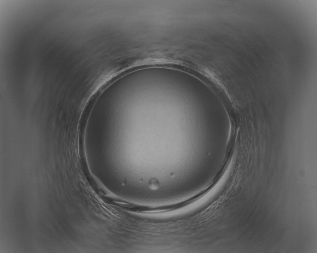 X0000057581173200509231244