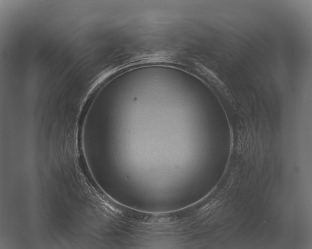 X0000057581174200509231244