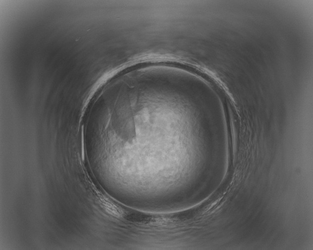 X0000057581175200509231244