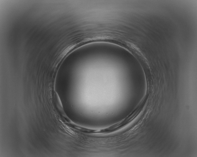 X0000057581177200509231244