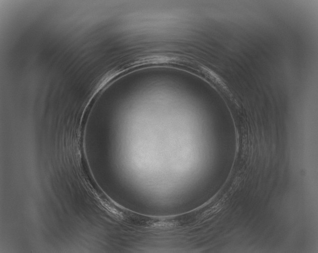 X0000057581178200509231244