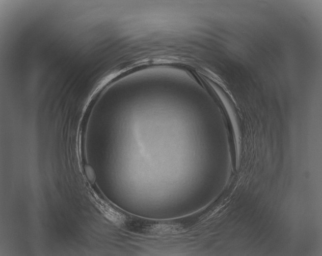 X0000057581179200509231244