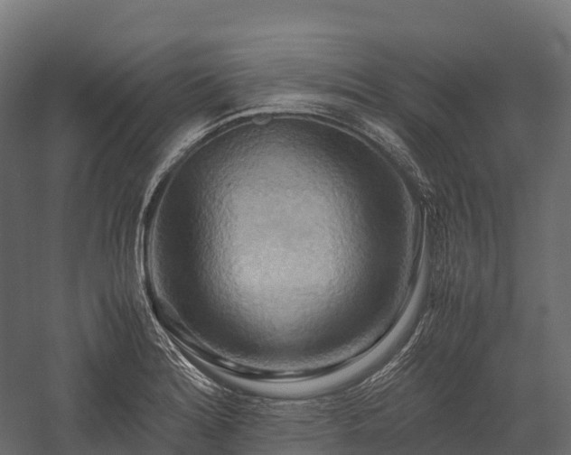 X0000057581180200509231244