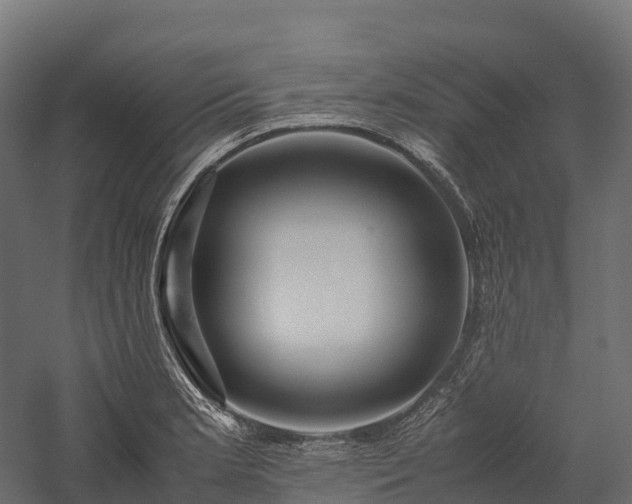 X0000057581181200509231244