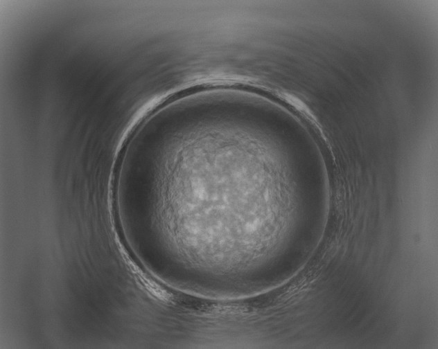 X0000057581183200509231244