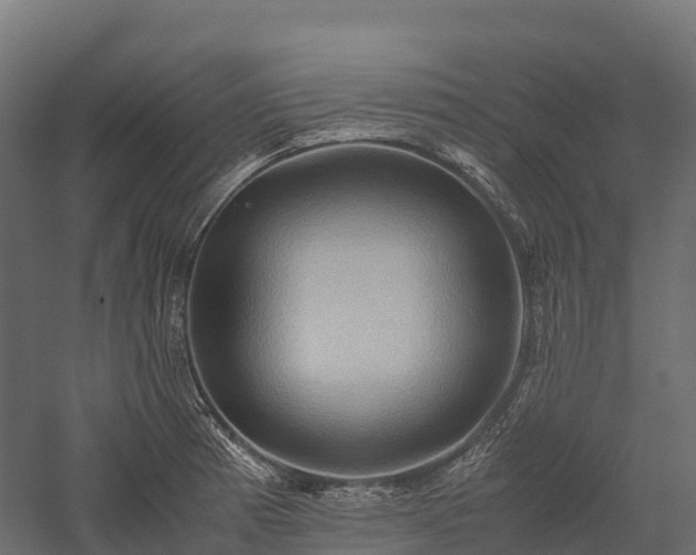 X0000057581185200509231244