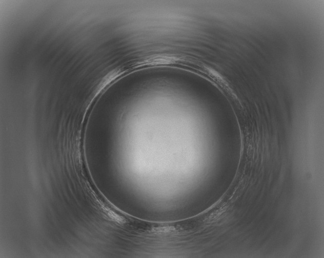 X0000057581186200509231244