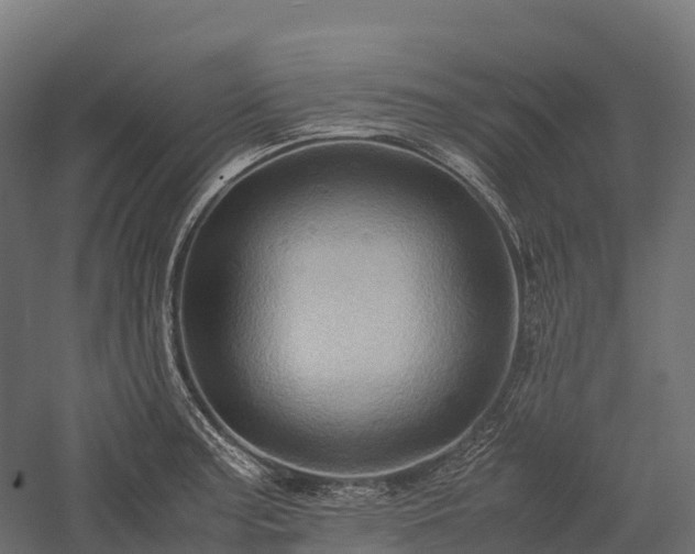 X0000057581187200509231244