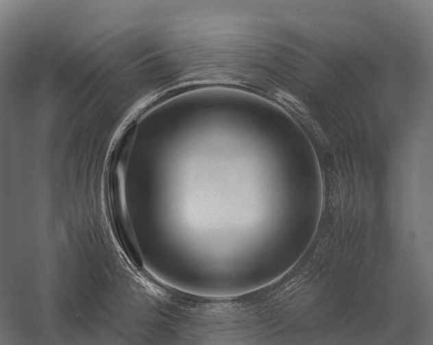 X0000057581188200509231244