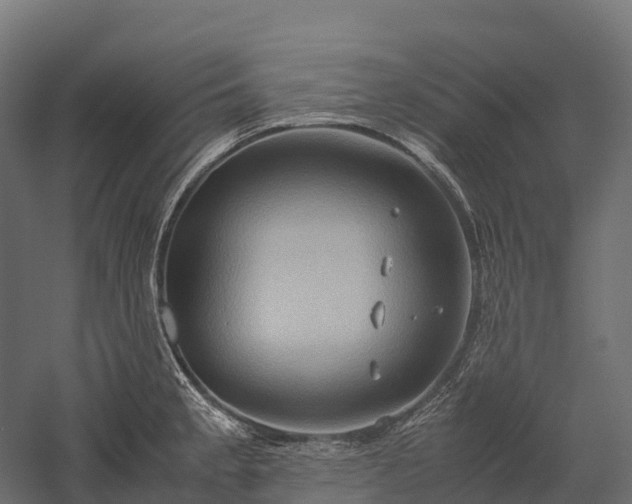 X0000057581189200509231243