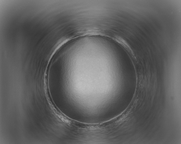 X0000057581190200509231243