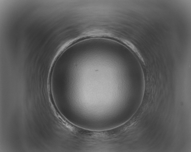 X0000057581191200509231243