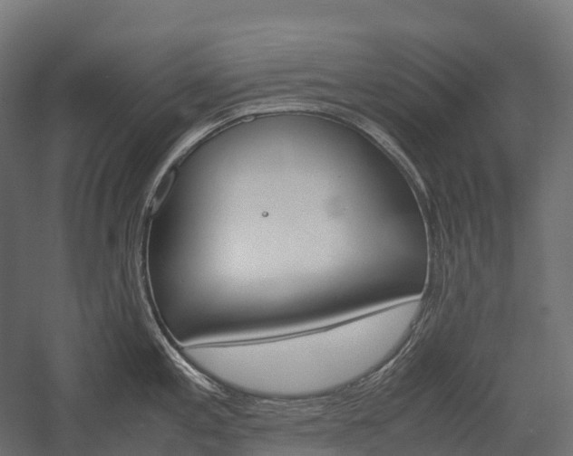 X0000057581197200509231243