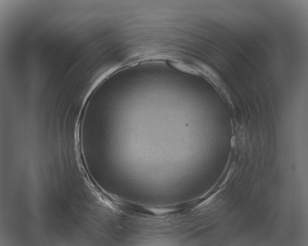 X0000057581198200509231243