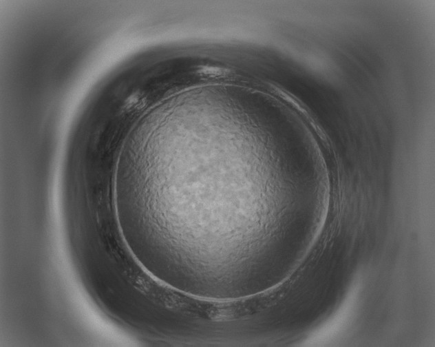 X0000057581199200509231243