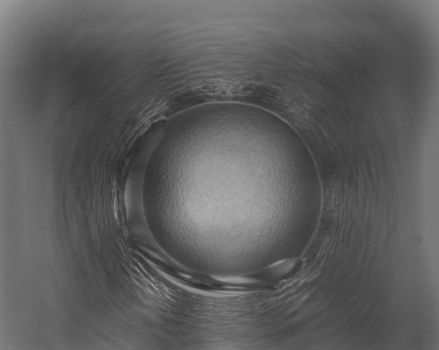 X0000057581202200509231243