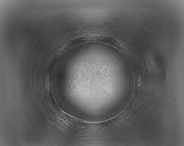 X0000057581204200509231243