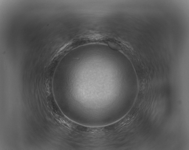 X0000057581205200509231243