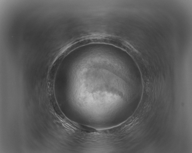 X0000057581208200509231243