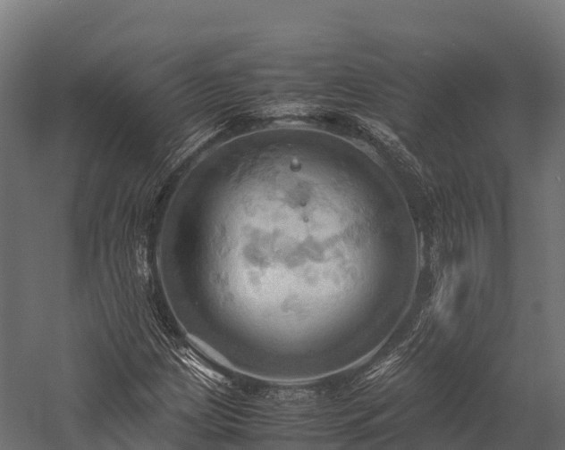 X0000057581209200509231243