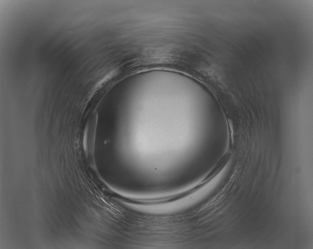 X0000057581210200509231243