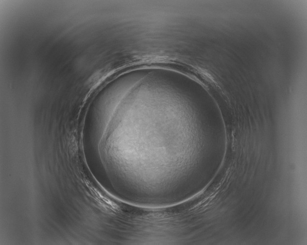 X0000057581212200509231243