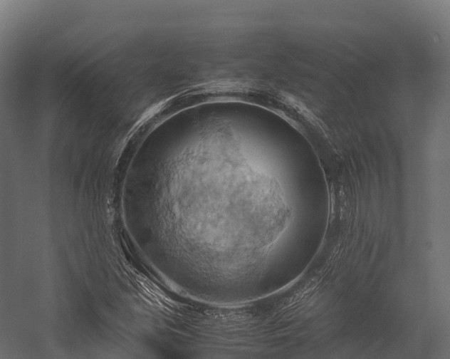 X0000057581213200509231243