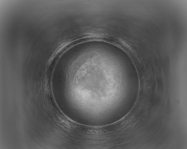 X0000057581215200509231243