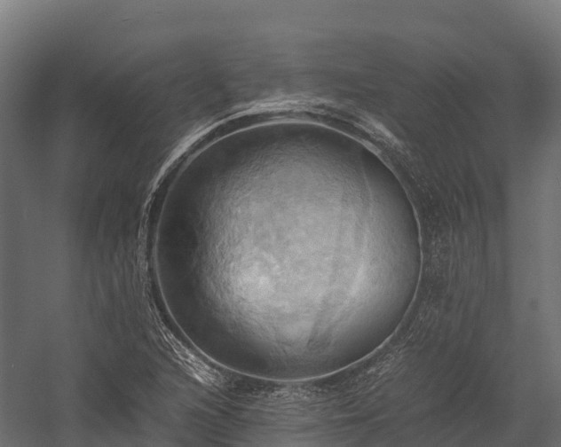 X0000057581216200509231243