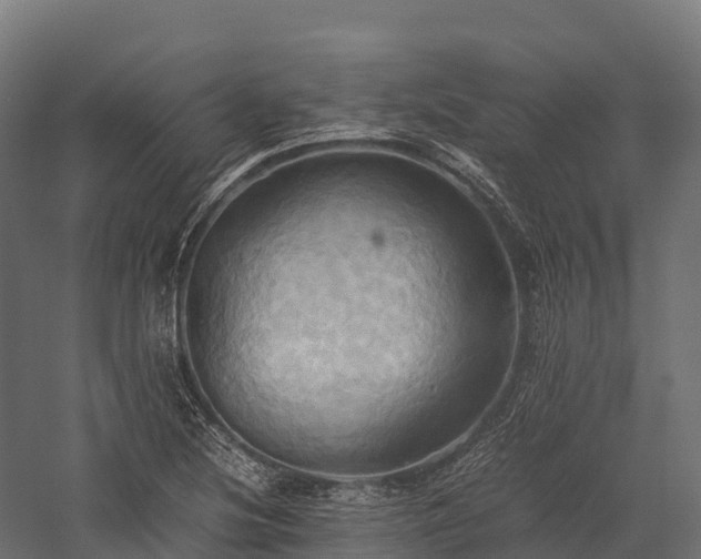 X0000057581220200509231243