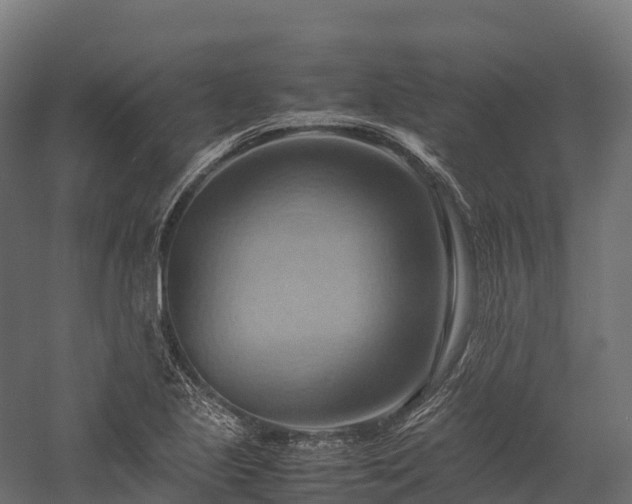 X0000057581221200509231243