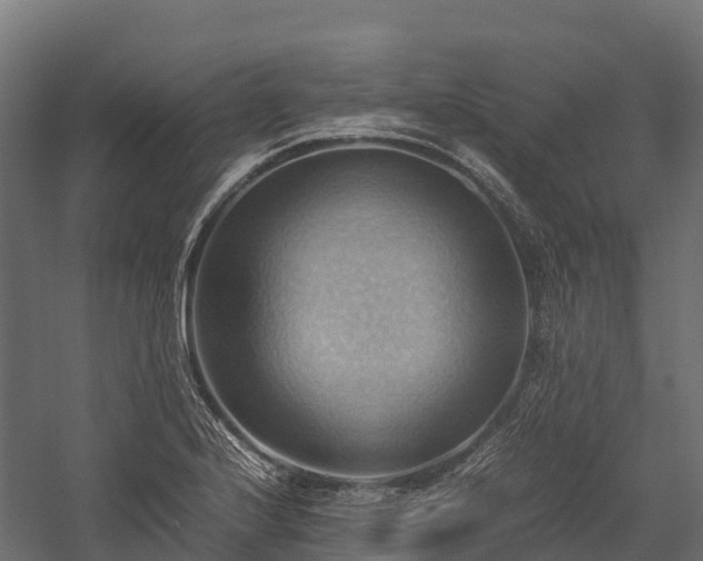 X0000057581224200509231243