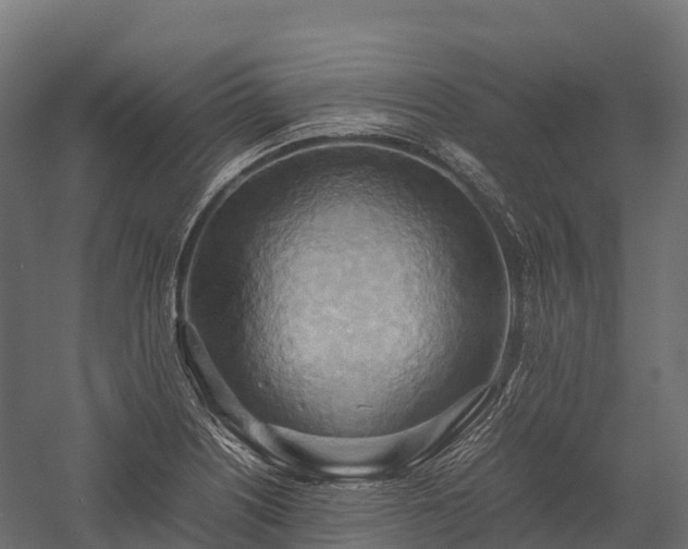 X0000057581226200509231243