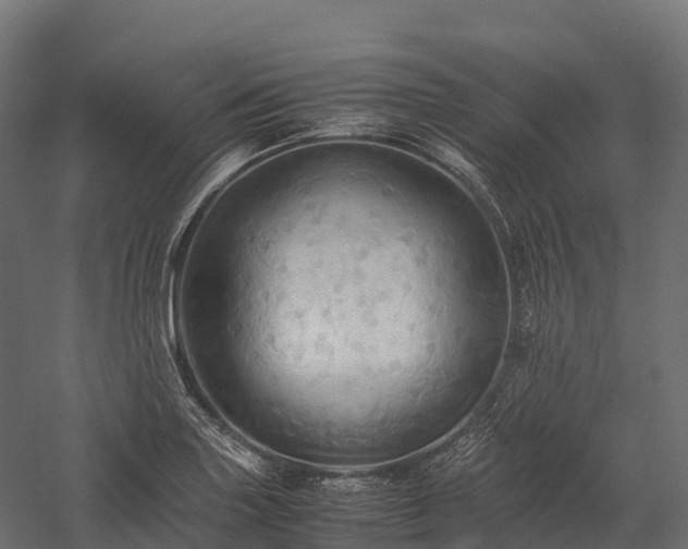 X0000057581227200509231243