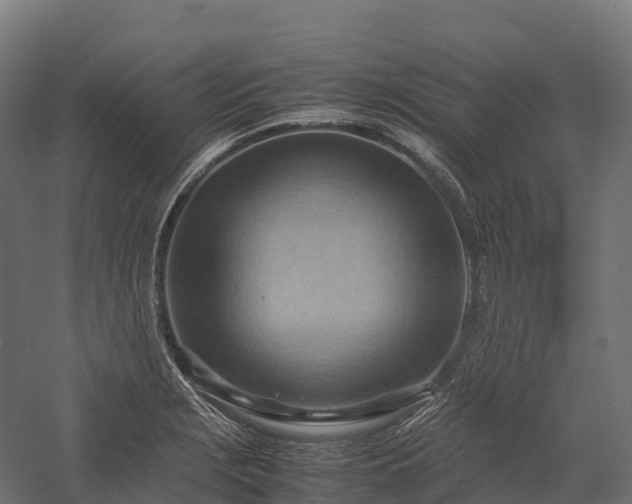 X0000057581229200509231243