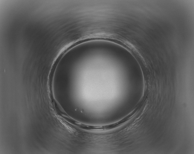 X0000057581230200509231243