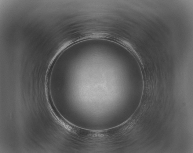 X0000057581235200509231243