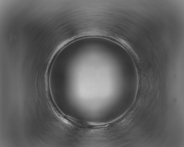 X0000057581238200509231243