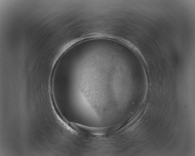 X0000057581239200509231243