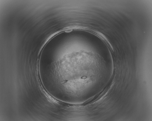 X0000057581244200509231243