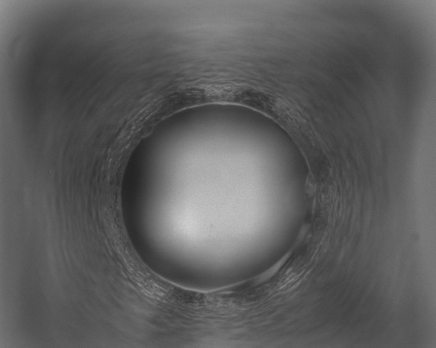 X0000057581249200509231242