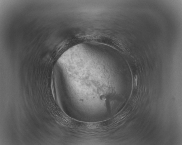 X0000057581251200509231242