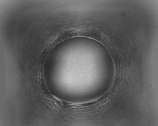 X0000057581253200509231242