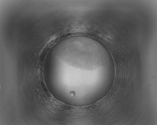 X0000057581254200509231242