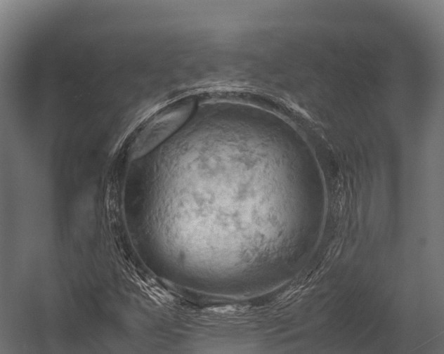 X0000057581255200509231242