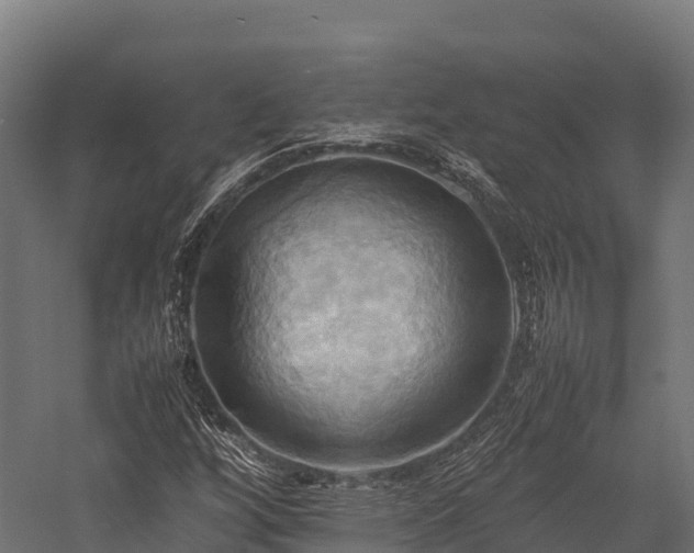 X0000057581256200509231242