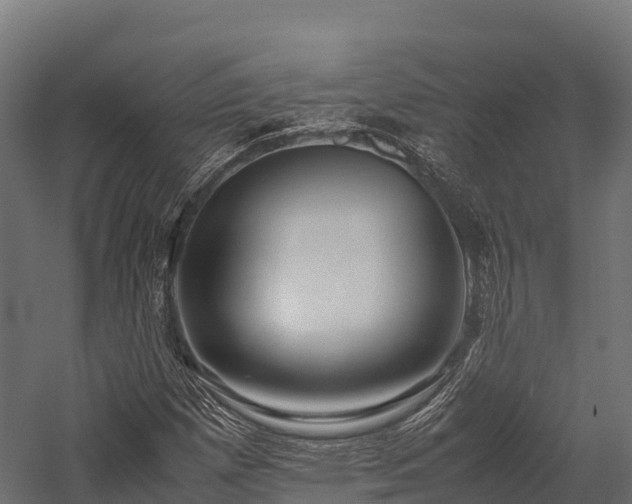 X0000057581257200509231242